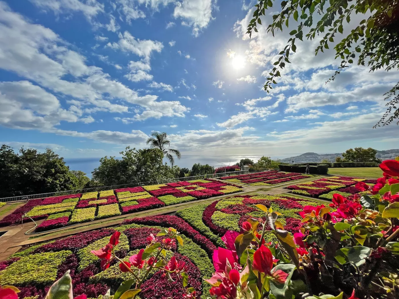 wanderreisen_madeira_funchal_monte_botanischer_garten_meerblick