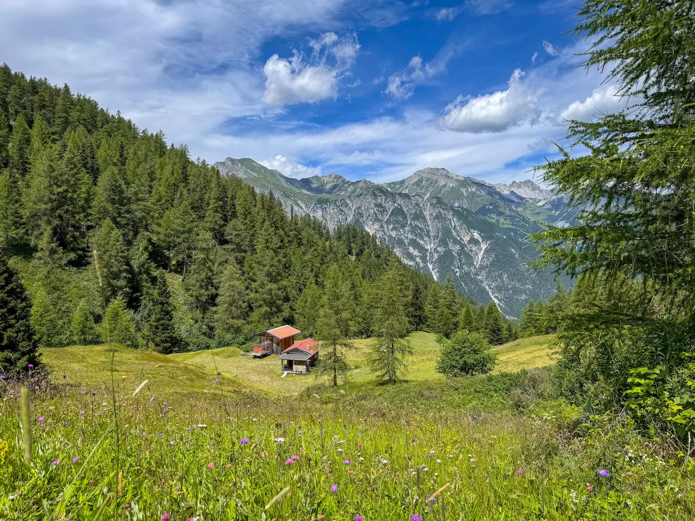wanderreisen_alpenueberquerung_garmisch_sterzing_gschnitztal_trunawald_almen