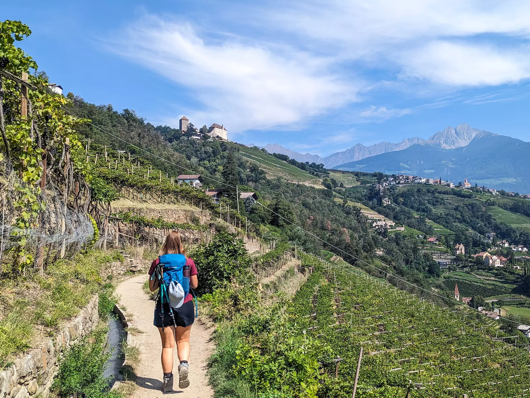wanderreisen_suedtiroler_wein_und_almenweg_meran_wanderweg_weinberge