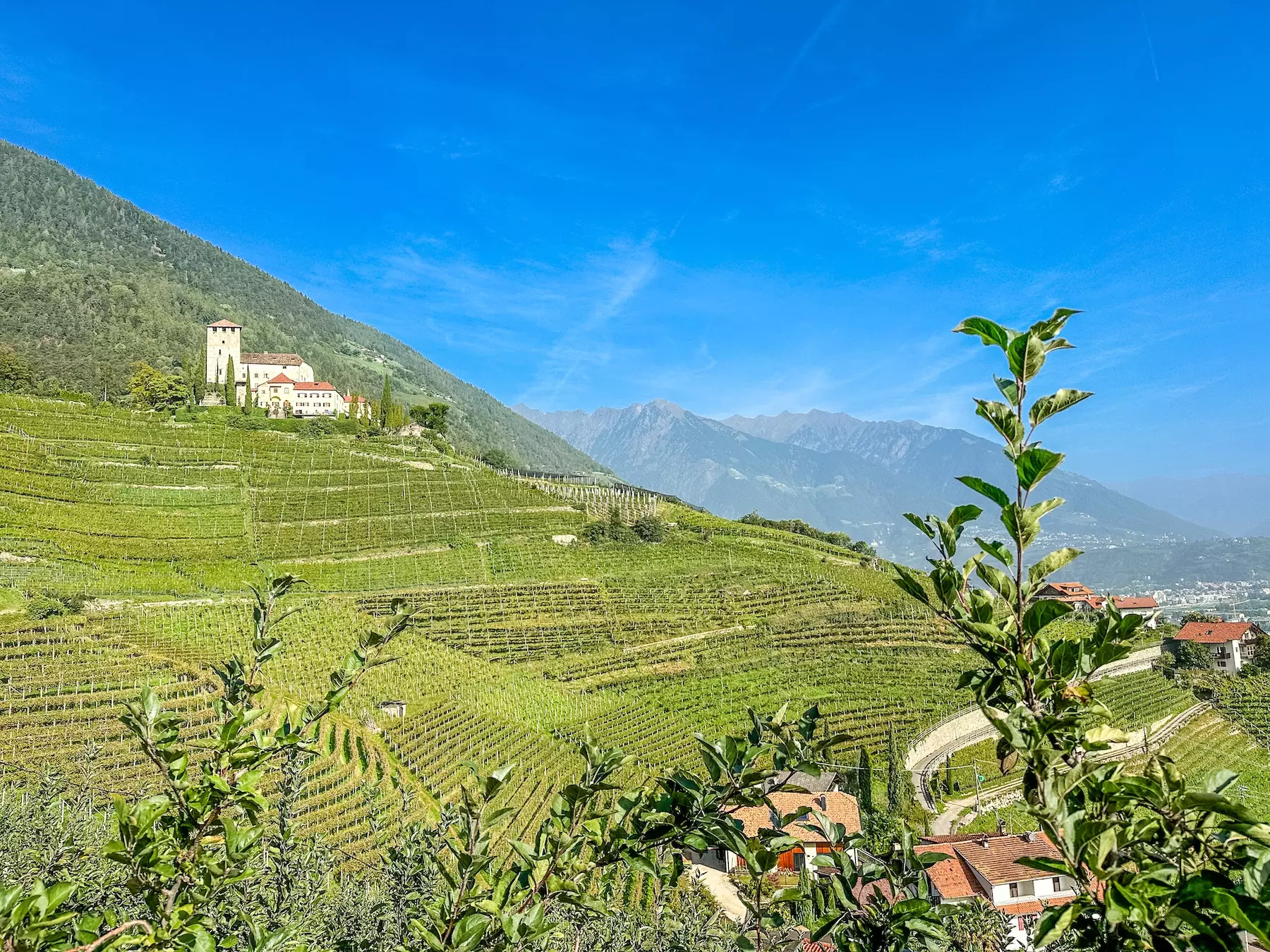 wanderreisen_suedtiroler_wein_und_almenweg_schloss_lebenberg_tscherms_panorama