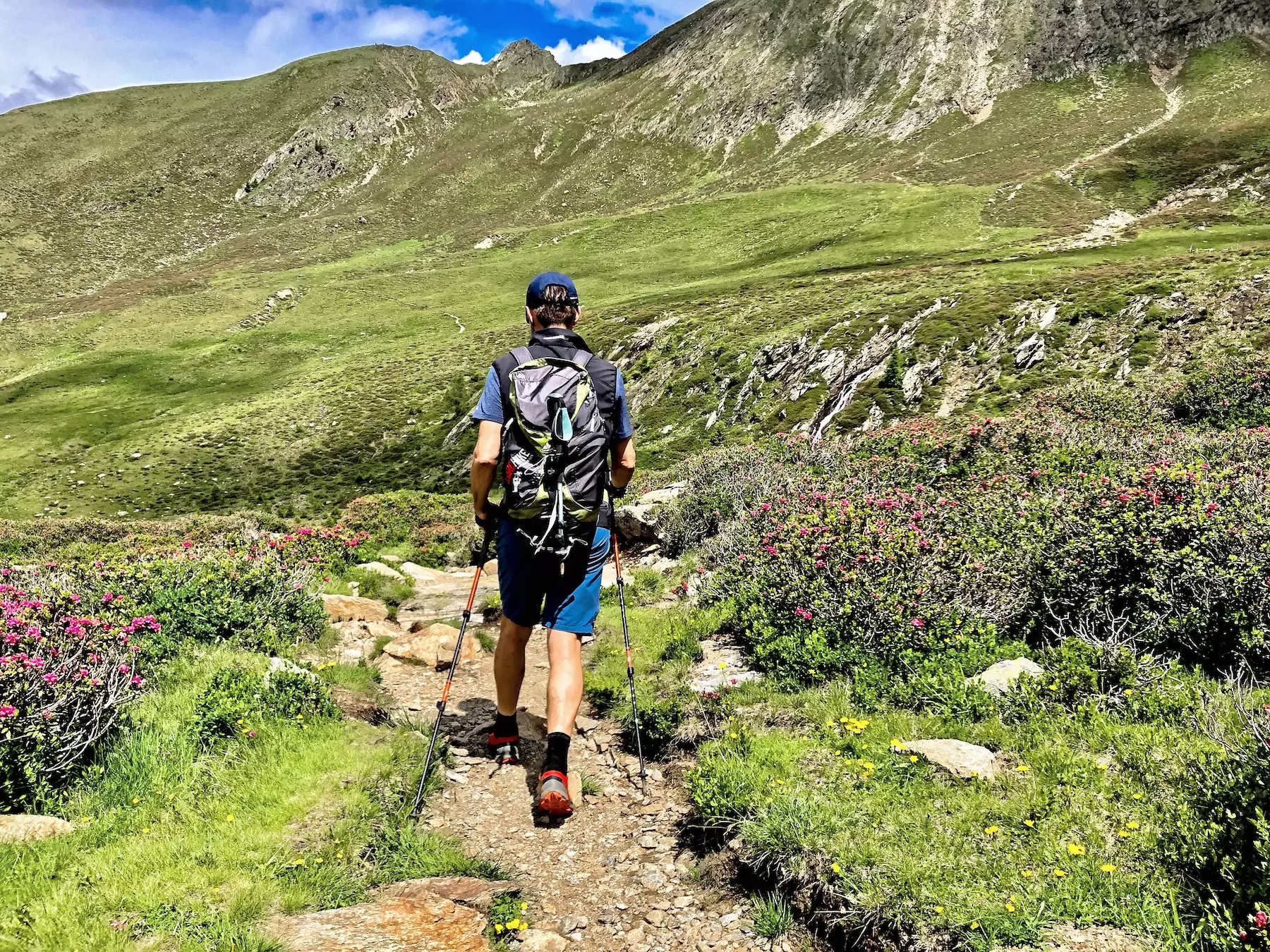 wanderreisen_suedtiroler_wein_und_almenweg_wanderer_alm