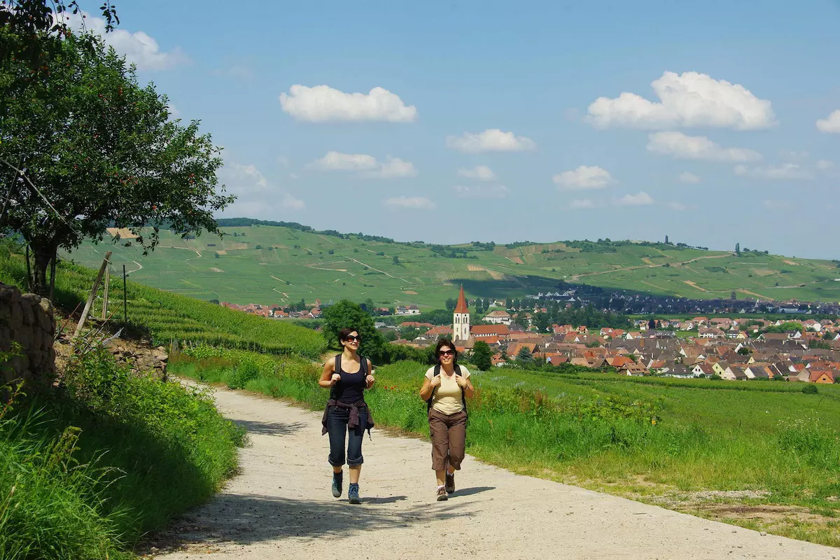 En randonnée dans le vignoble alsacien@Espace Randonnée