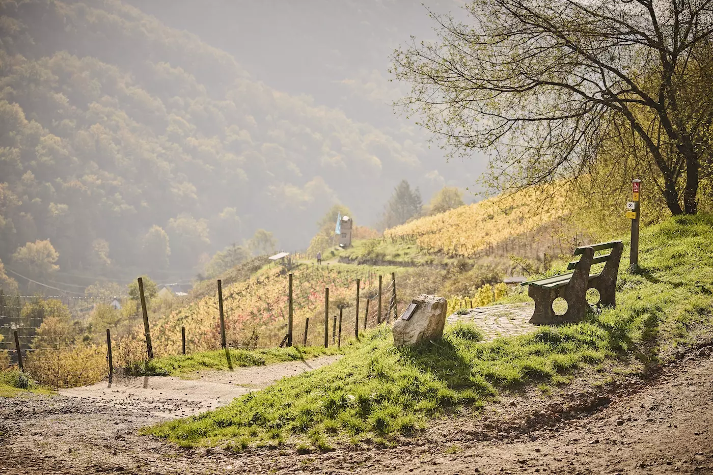 Bank am RheinBurgenWeg