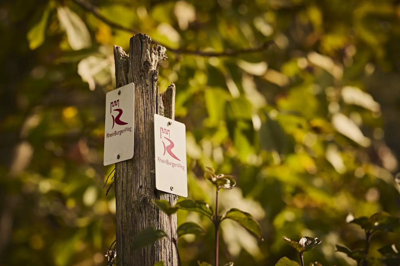 Markierung am RheinBurgenWeg