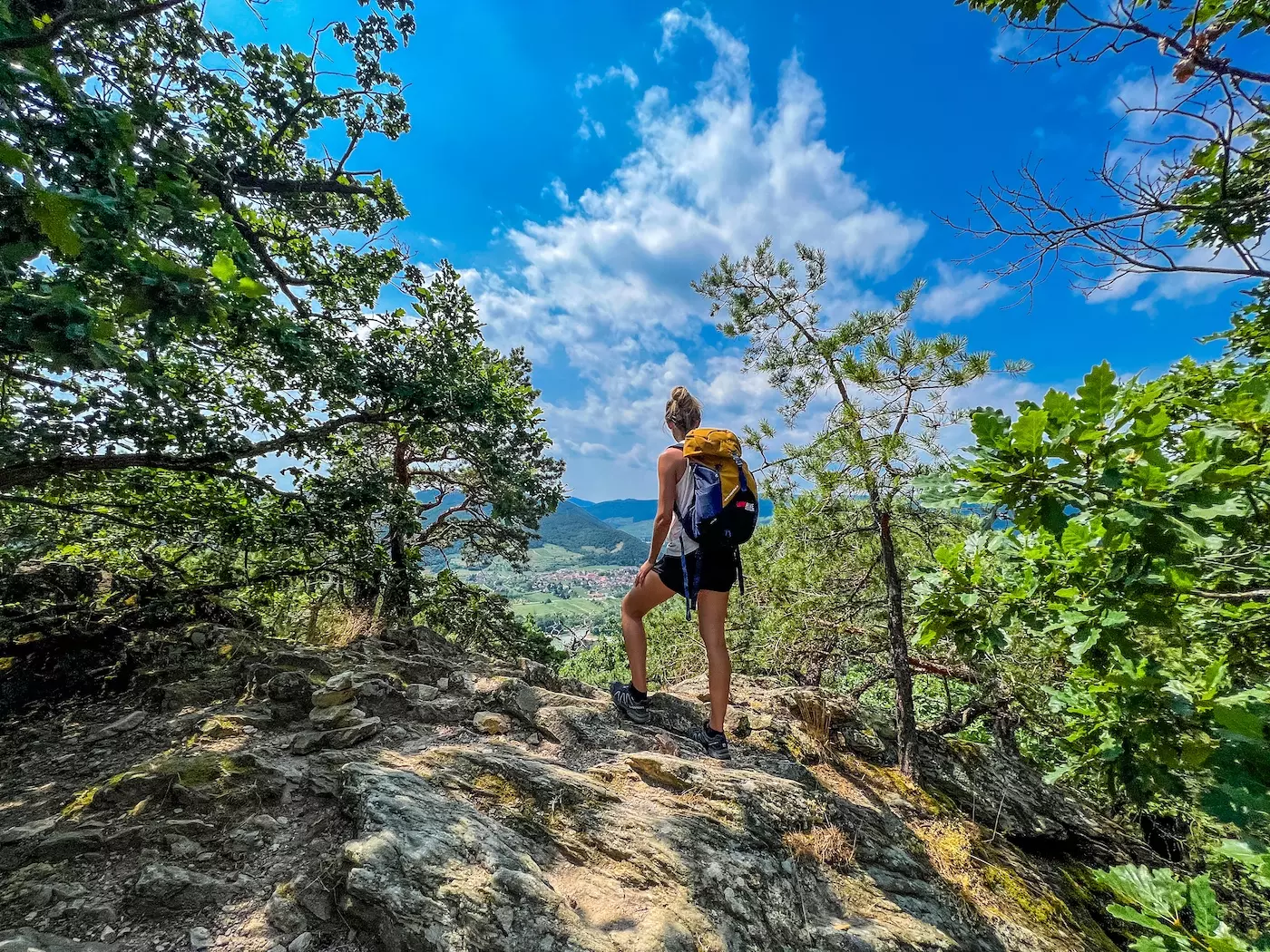 wanderreisen_welterbesteig_wachau_krems_duernstein_talblick_wanderer