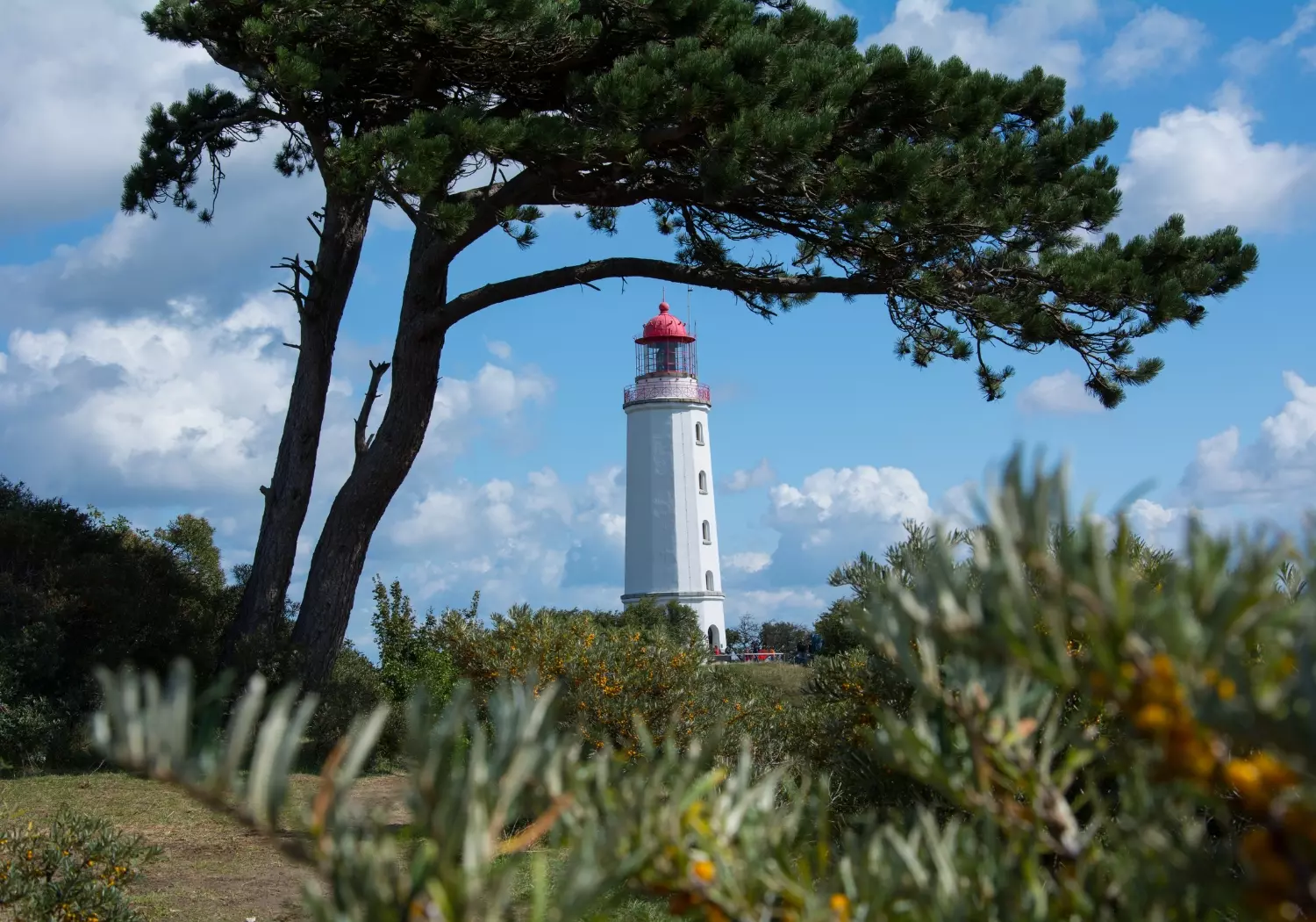 Leuchtturm Dornbusch auf Hiddensee Rügen