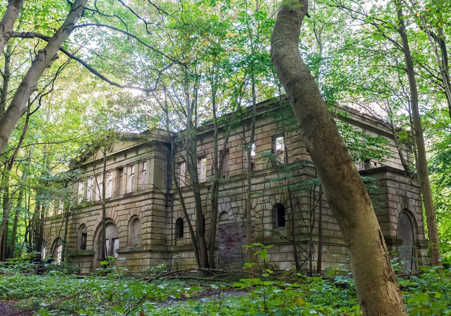 Schlossruine Dwasieden auf Rügen