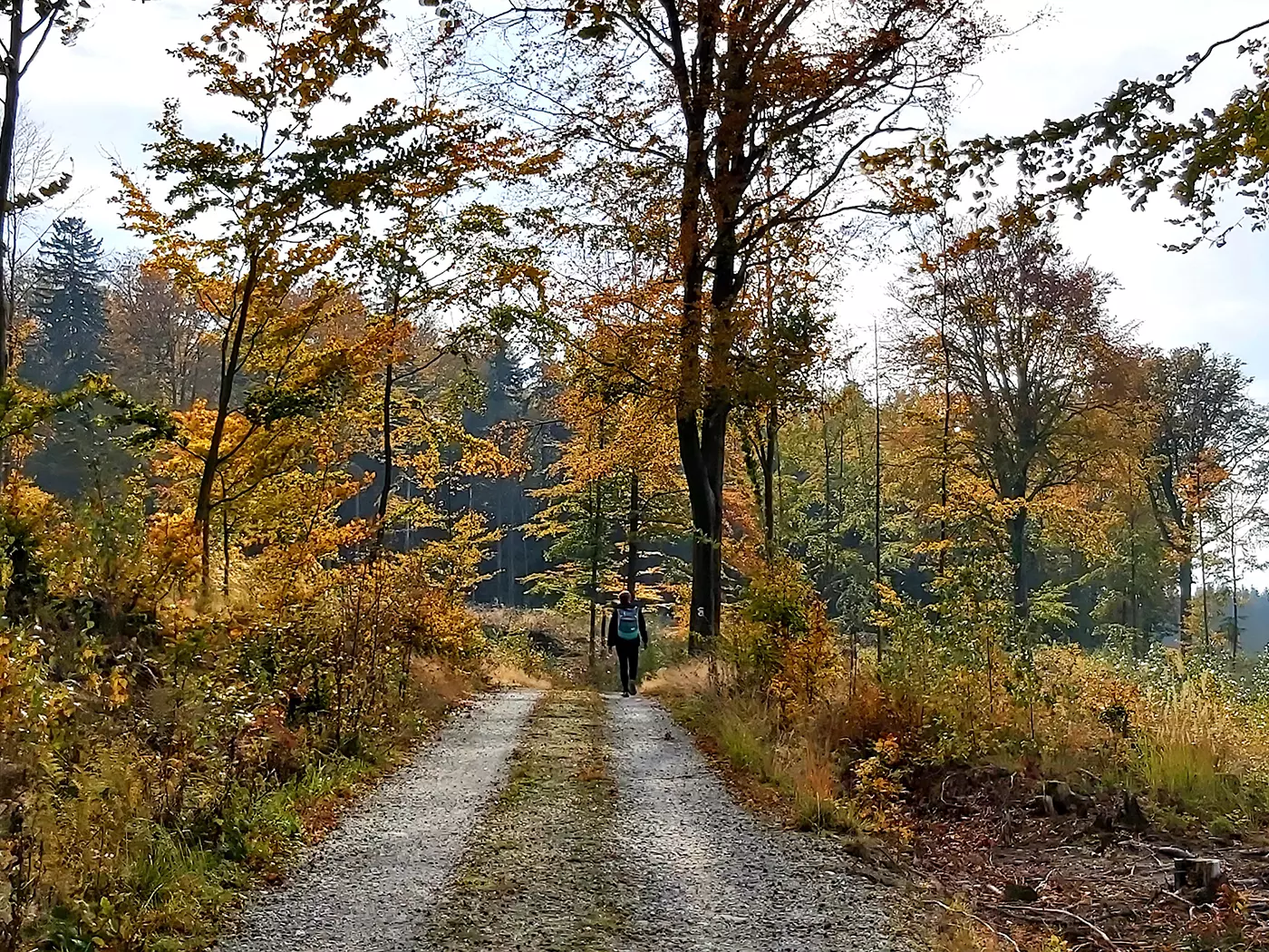 auf-dem-weg-zum-kottmar