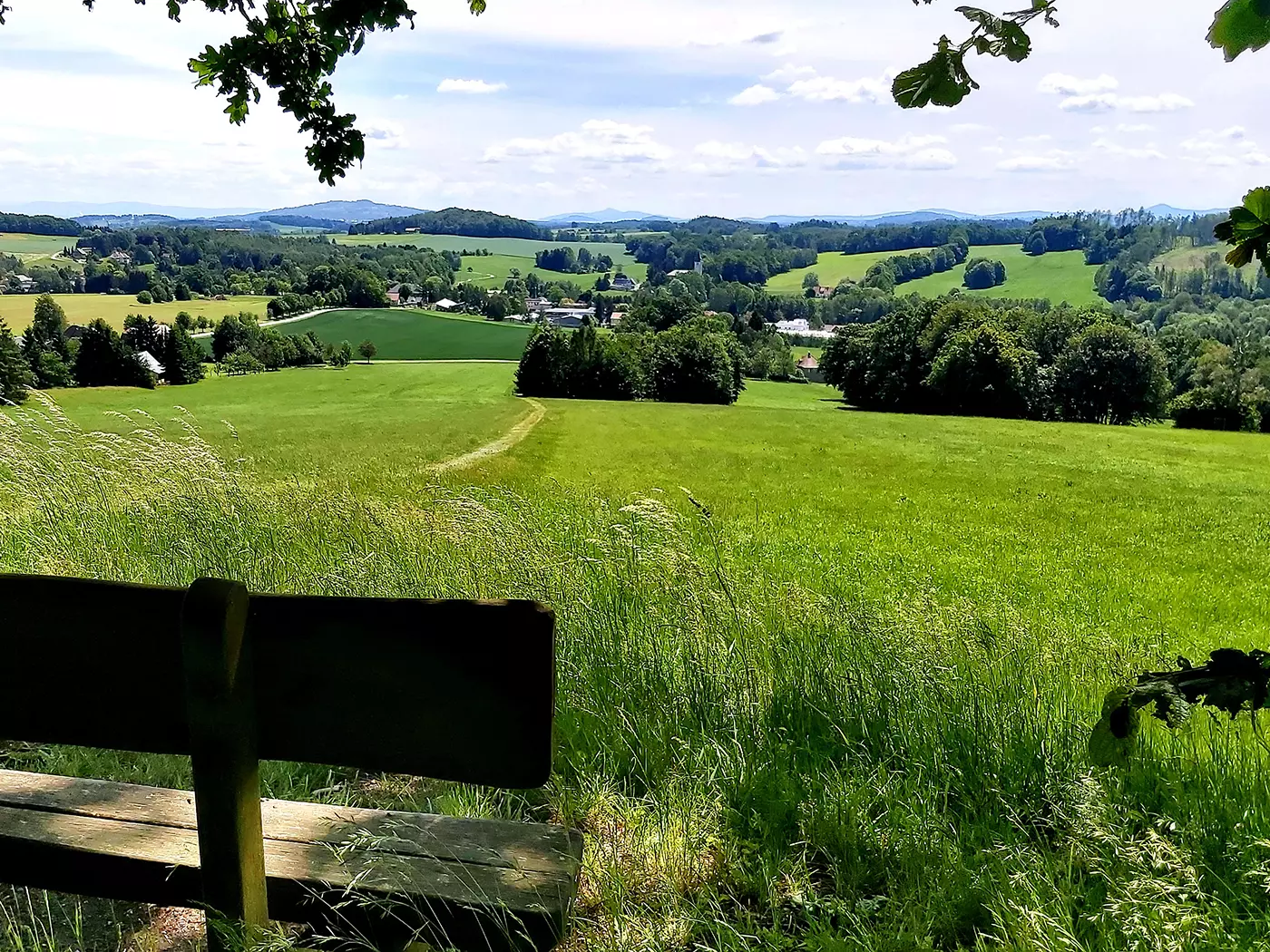 blick-auf-beiersdorf