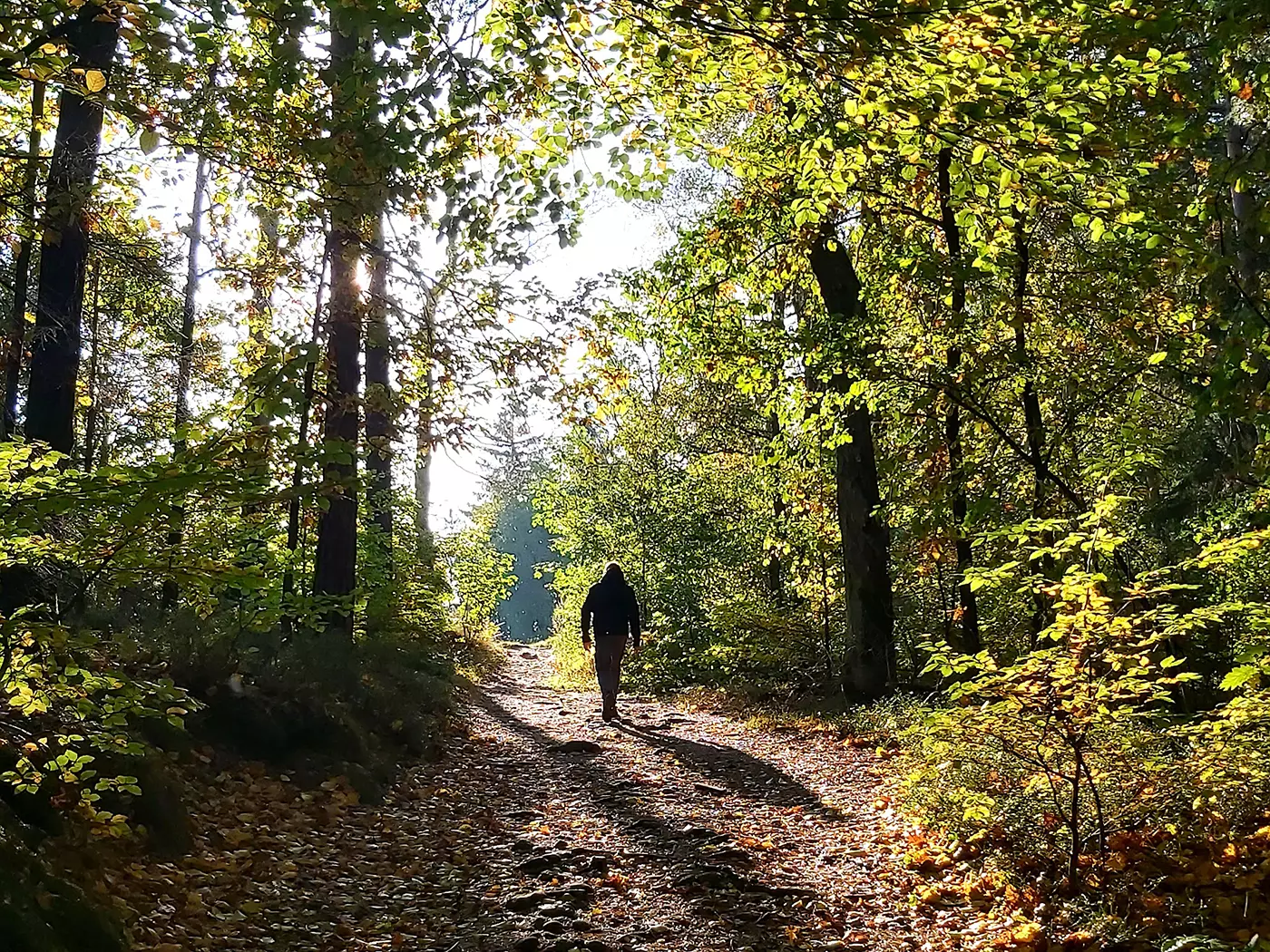 oberlausitzer-bergweg-bei-jonsdorf