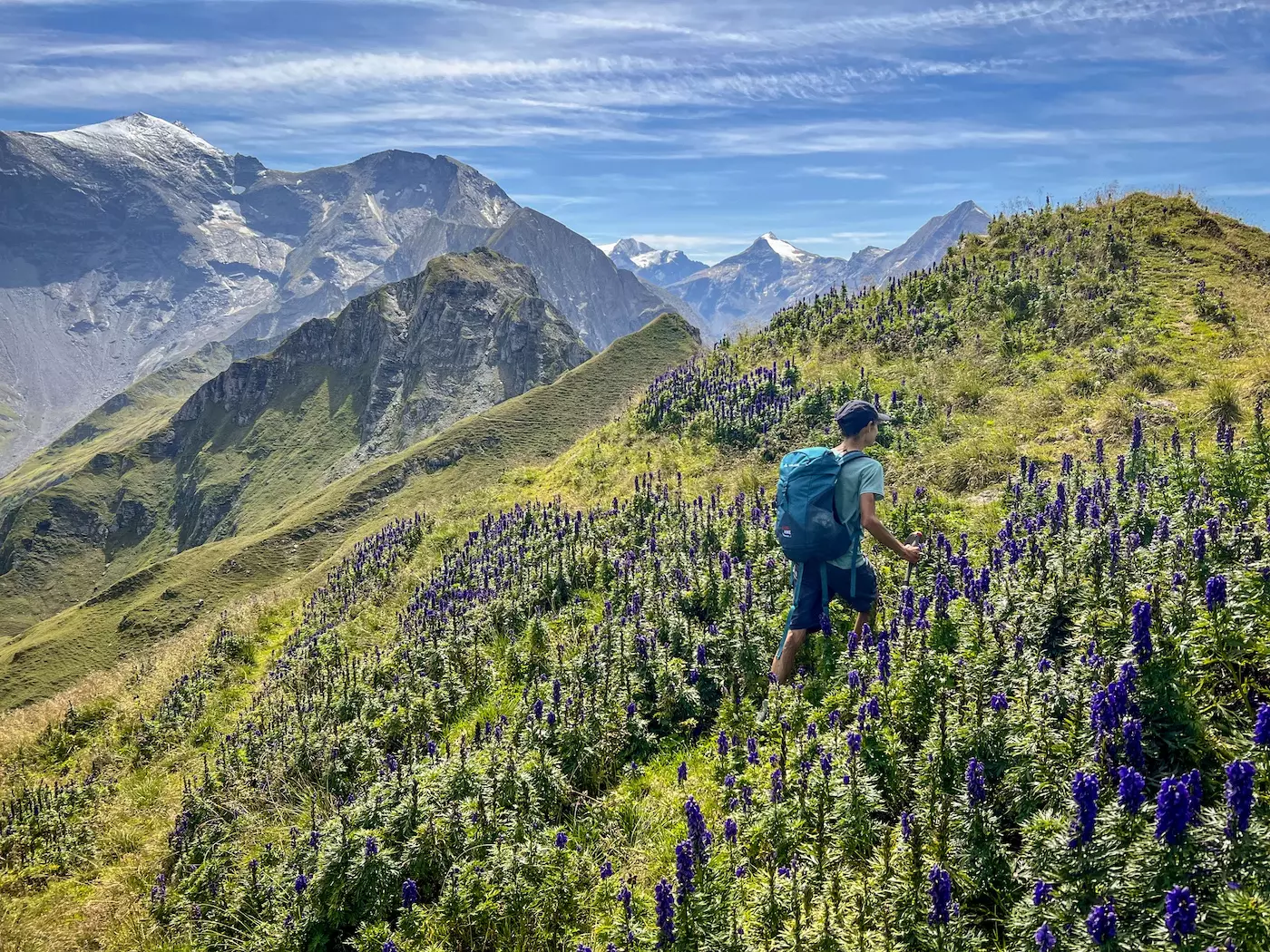 wanderreisen_hohe_tauern_huettentour_wanderin_eisenhut