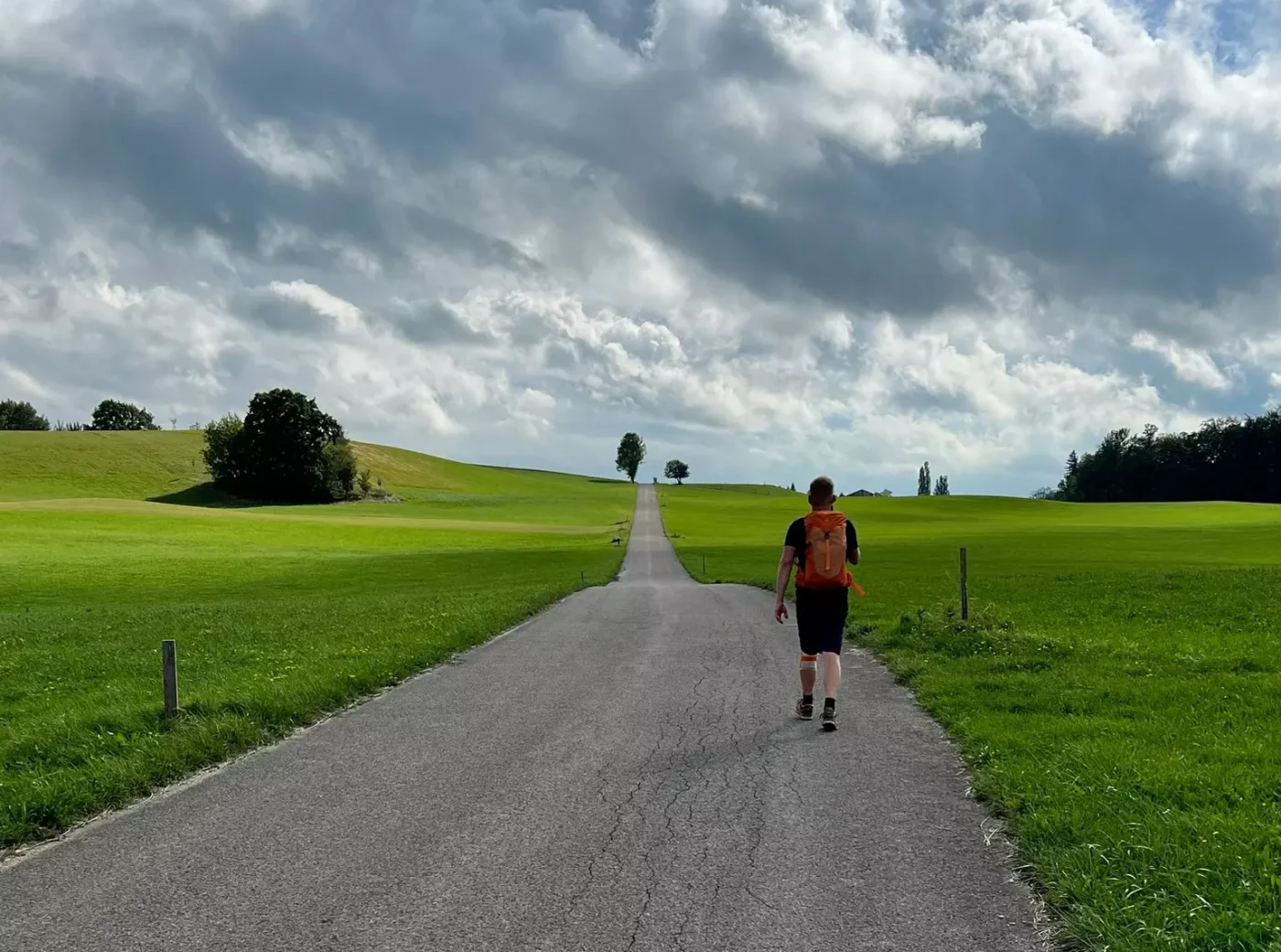 Grüne-Felder-im-Alpenvorland-mit-durchgehender-Straße