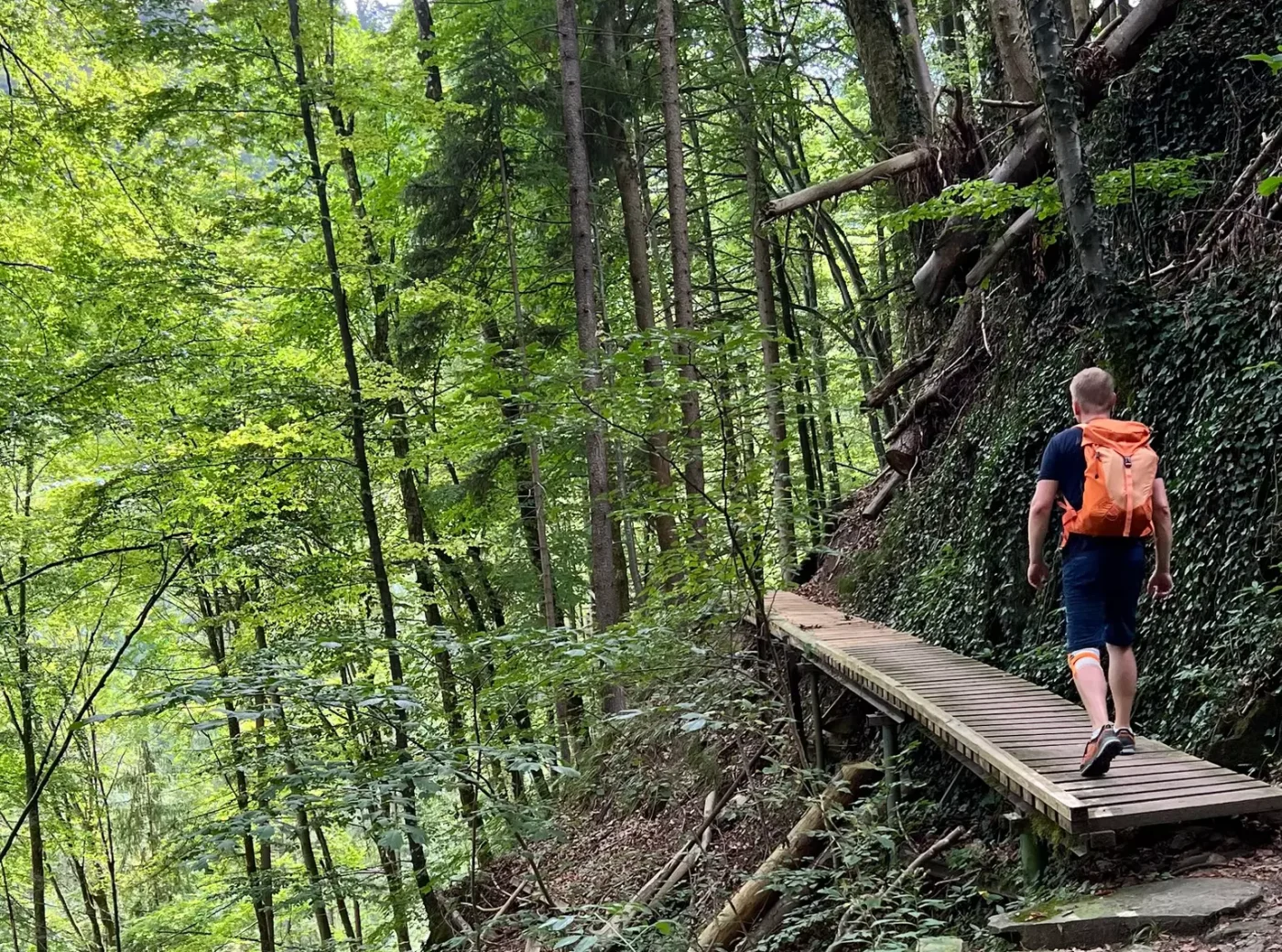 Holzbrücke-an-der-Ammerschlucht