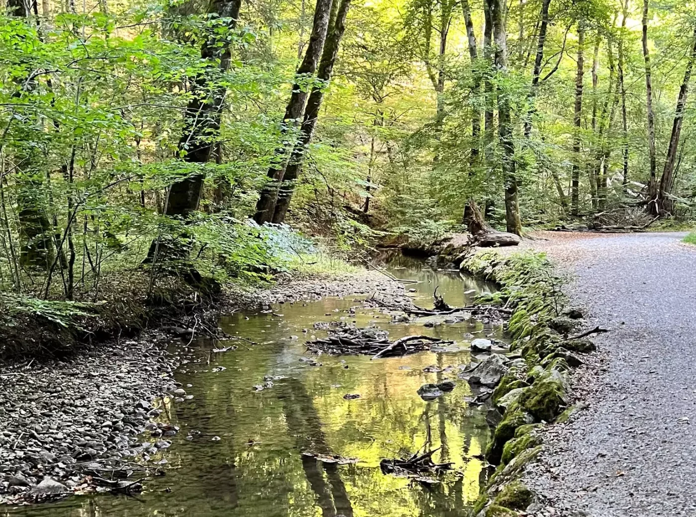 Maisinger-Schlucht