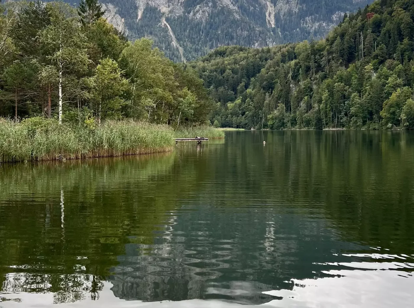 Schwansee-mit-Blick-auf-einen-Berg